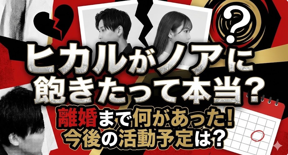ヒカルがノアに飽きたって本当？離婚まで何があった！今後の活動予定は？